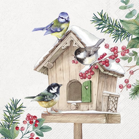 Lautasliina Birds Meeting Point 33cm