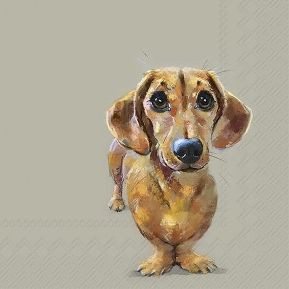 Lautasliina Dog Buddy 33cm
