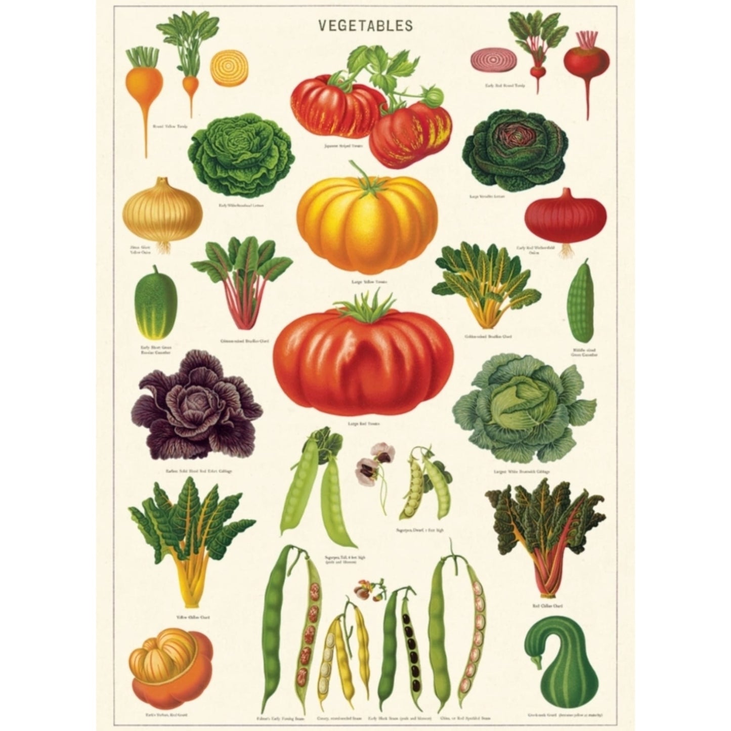 Cavallini Kasvikset - Vegetables -juliste / lahjapaperiarkki