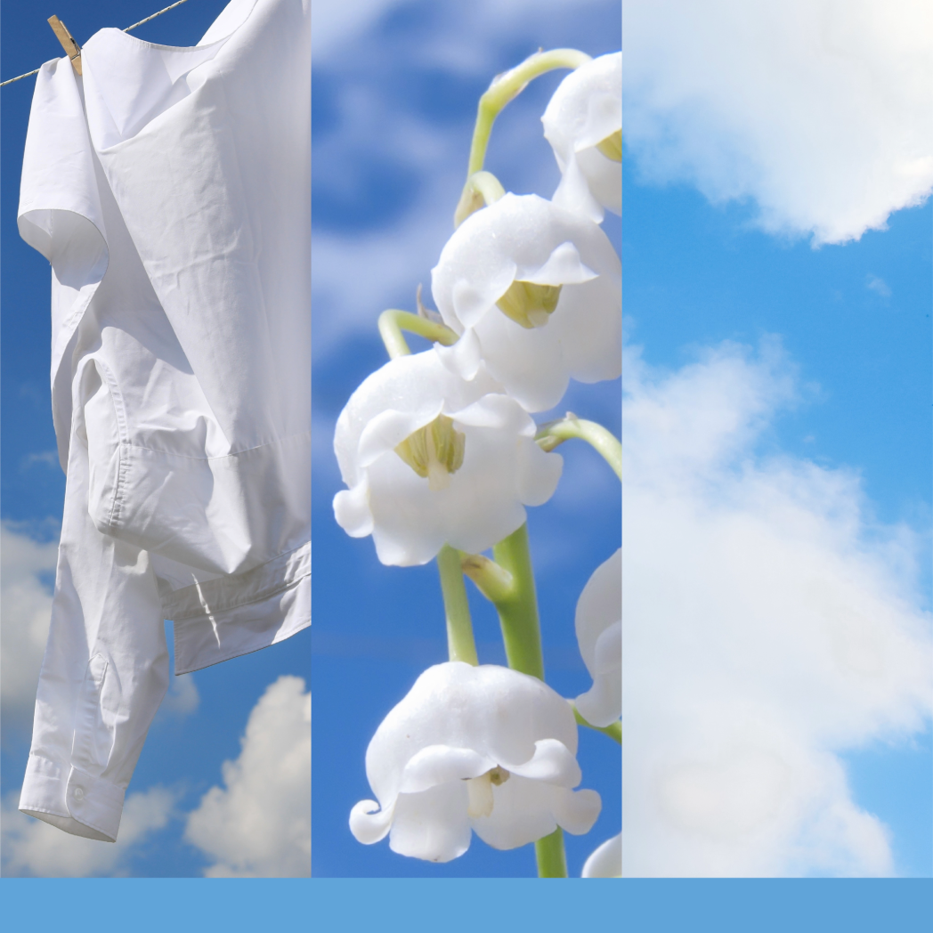 Yankee Candle Clean Cotton Signature – Medium Jar Tuoksukynttilä