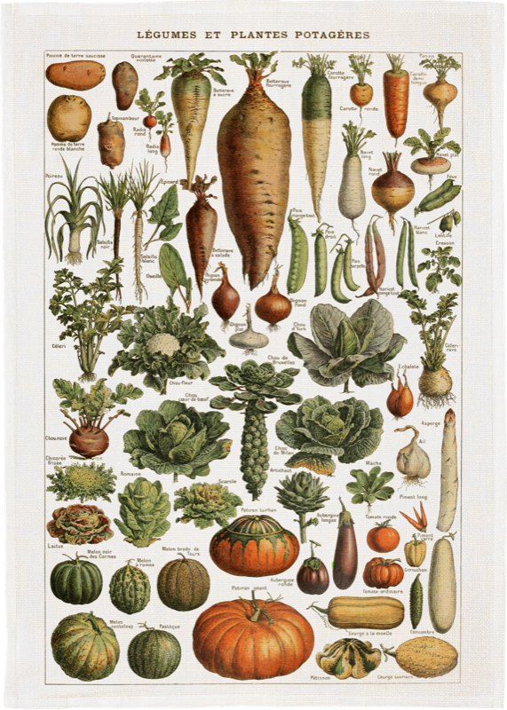 Kasvikset keittiöpyyhe – Vegetables | Sköna Ting 50 × 70 cm