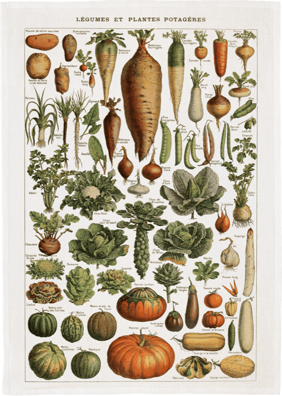 Kasvikset keittiöpyyhe – Vegetables | Sköna Ting 50 × 70 cm