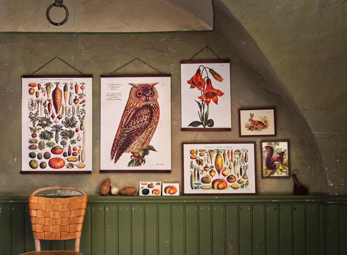 Kasvikset opetustaulu juliste Vegetables 50 × 70 cm