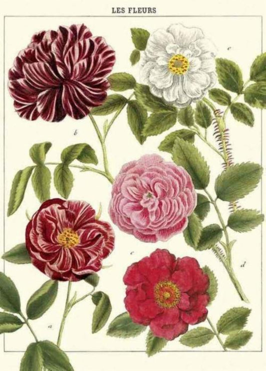 Juliste Les Fleurs