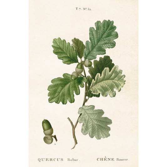 Juliste Tammi