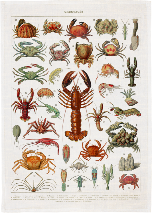 Äyriäiset keittiöpyyhe | Crustaceans – Sköna Ting 50 × 70 cm