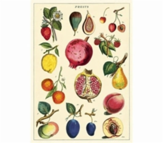 Juliste Fruits