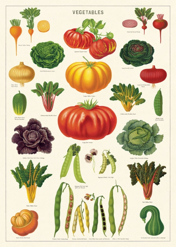 Juliste Vegetables